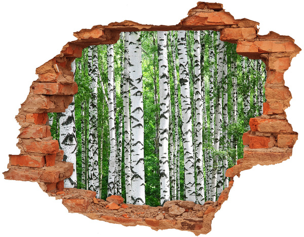 Hole wall sticker Birch