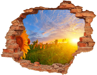 3D wall hole Sunflowers in the setting sun