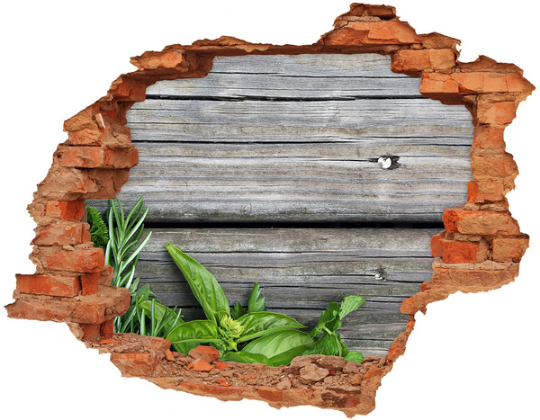 Hole wall sticker Wooden background herbs