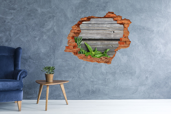 Hole wall sticker Wooden background herbs