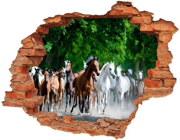 Hole wall sticker A herd of horses on the run
