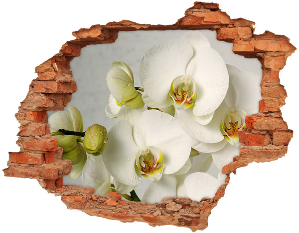 3D wall hole wallpaper White orchid