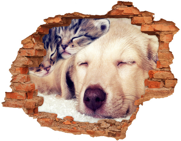 Hole wall sticker Puppy and cats