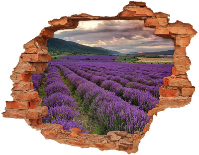 Hole in the wall sticker Lavender fields in the rays of the setting sun
