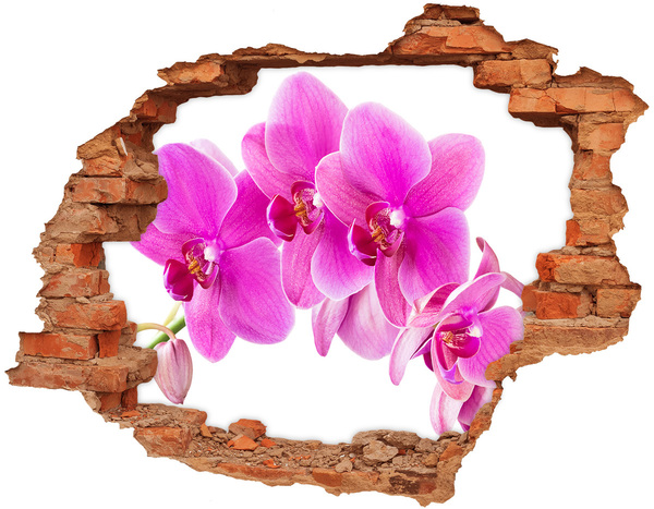 Hole wall sticker Orchid flowers in a concrete hole