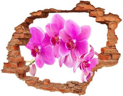 Hole wall sticker Orchid flowers in a concrete hole