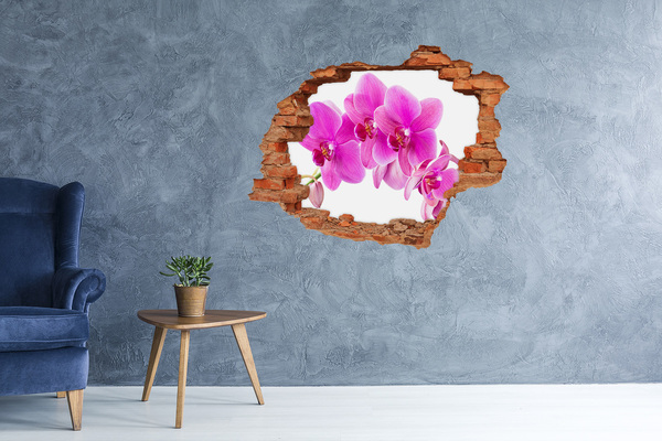 Hole wall sticker Orchid flowers in a concrete hole