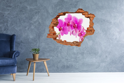 Hole wall sticker Orchid flowers in a concrete hole