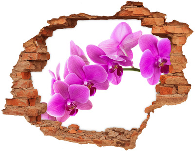 Hole wall sticker Orchids through a hole in the wall