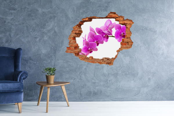 Hole wall sticker Orchids through a hole in the wall