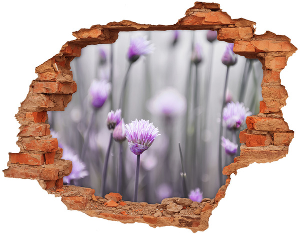 Hole in the wall decal Chives flowers