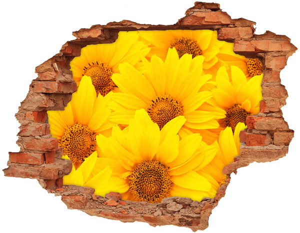 Hole in the wall decal Sunflowers in a Hole in the Wall