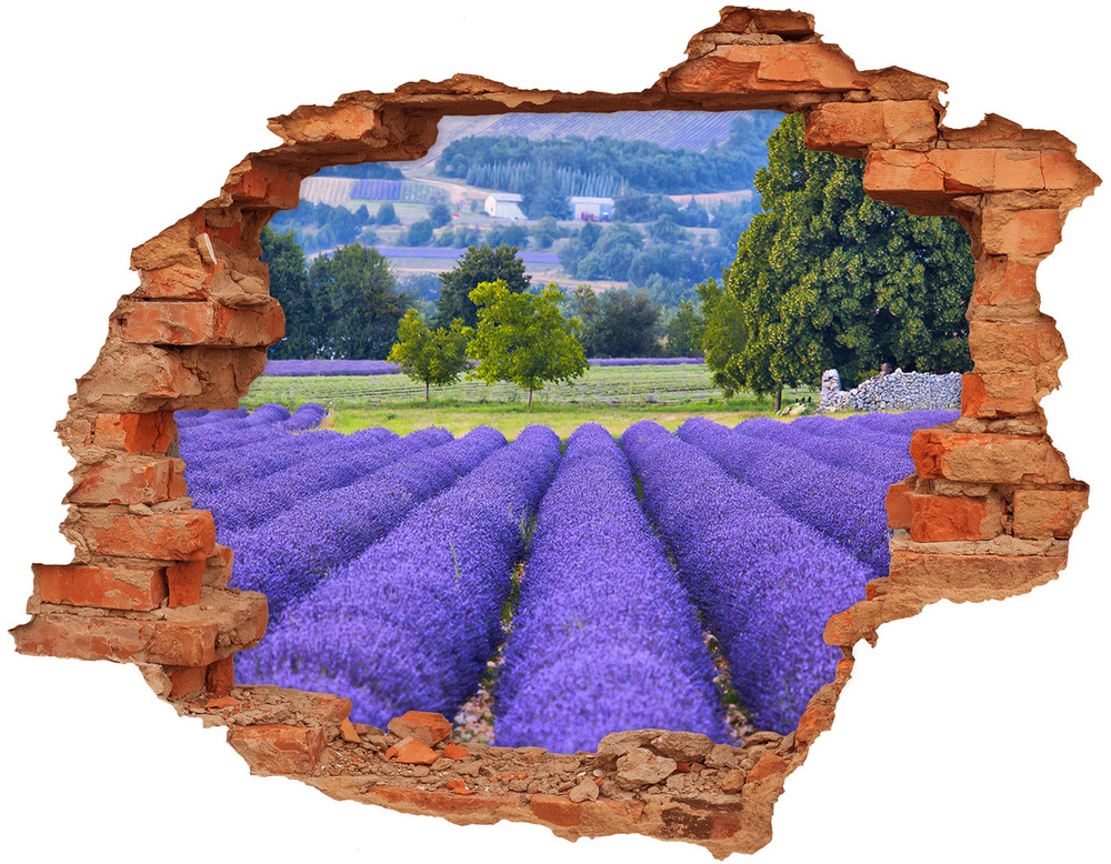 Hole in the wall sticker Lavender field