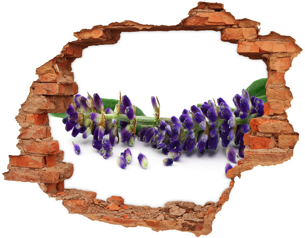 Hole in the wall sticker Lavender flower through a hole in the wall