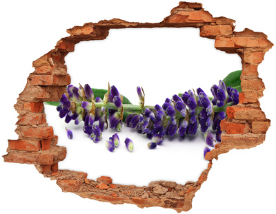 Hole in the wall sticker Lavender flower through a hole in the wall