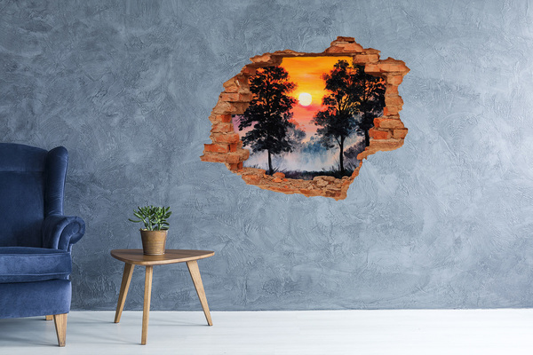 3D wall hole wallpaper Sunset in the forest