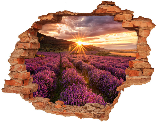 Hole in the wall decal Lavender field at sunset