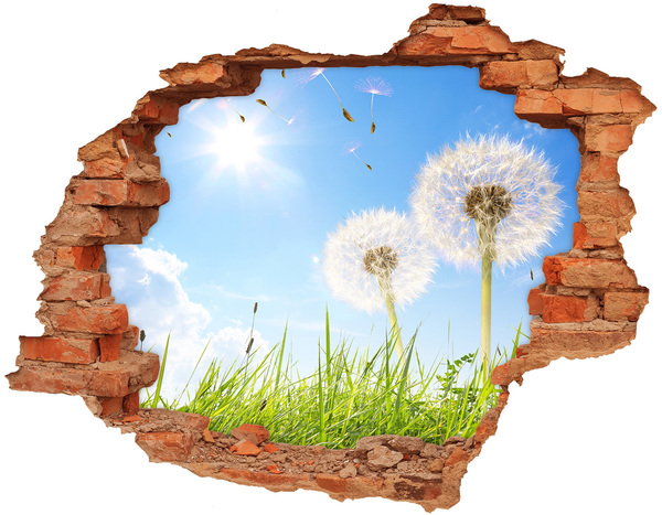 Hole in the wall decal Dandelion flowers in the sky