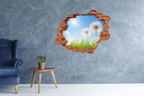 Hole in the wall decal Dandelion flowers in the sky