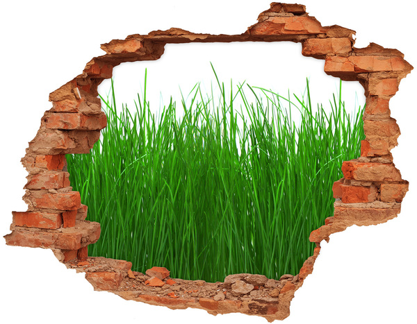 Hole in the wall decal Green meadow through a hole in the wall