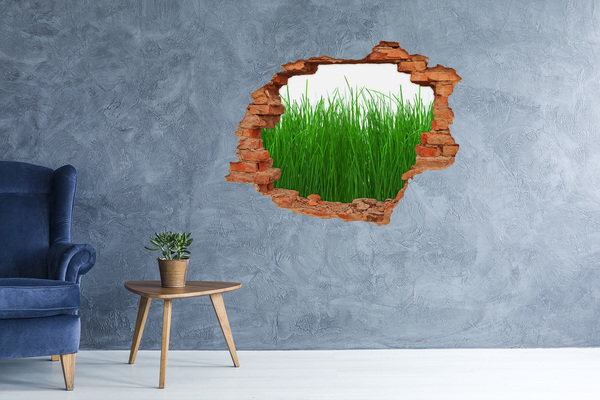 Hole in the wall decal Green meadow through a hole in the wall