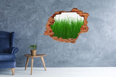 Hole in the wall decal Green meadow through a hole in the wall