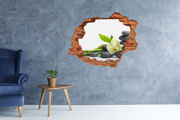 3D wall hole Orchid