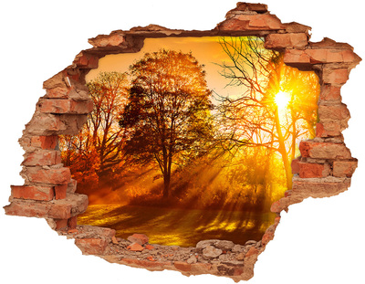 3D wall hole Golden rays of sunshine in the forest
