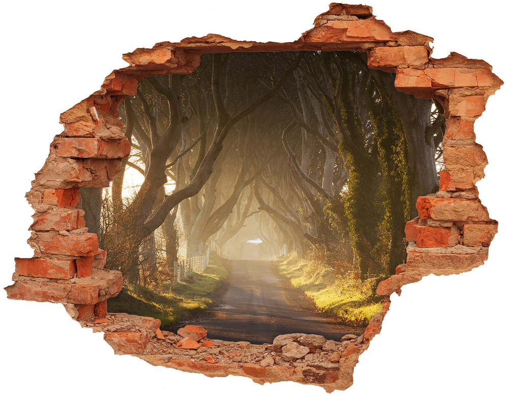 Hole wall sticker Fog in the forest