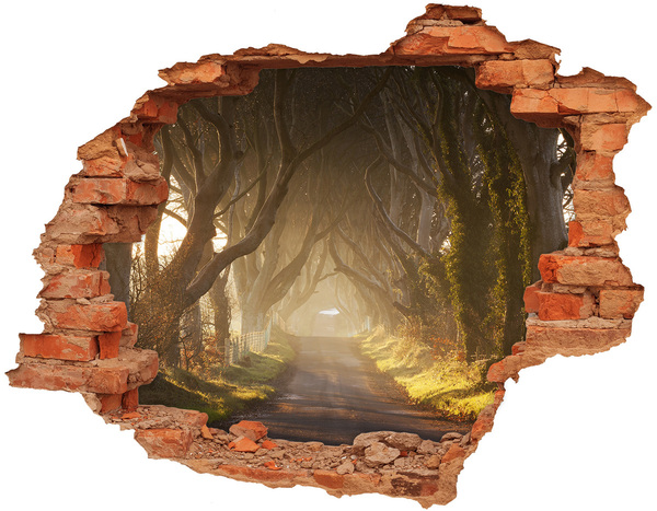 Hole wall sticker A path among the trees