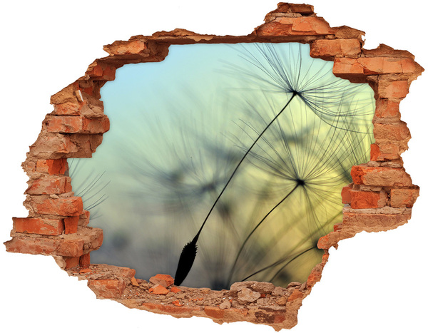 Hole wall sticker Dandelion Dream