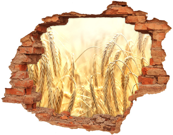 Hole wall sticker Golden wheat fields