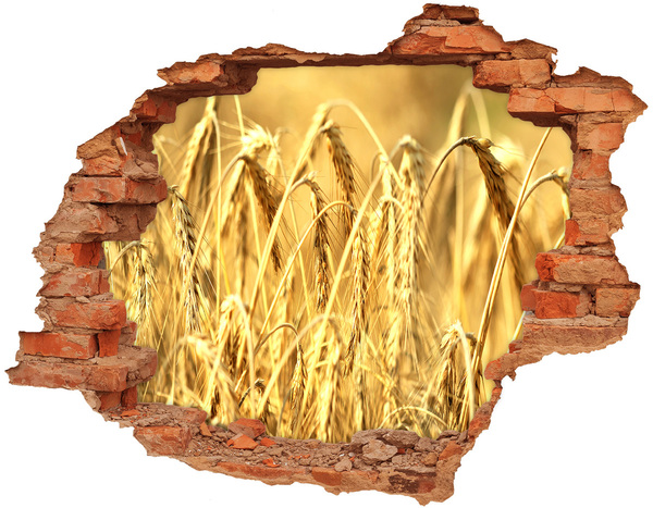 3D wall hole Golden grains in the sunshine
