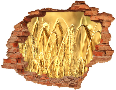 3D wall hole Golden grains in the sunshine