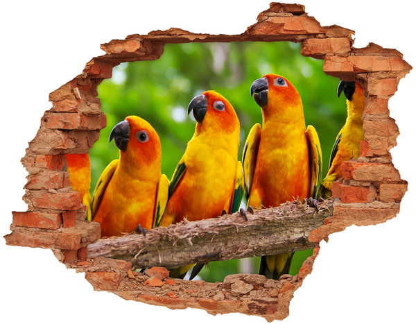 3D wall hole Tropical parrots in a hole in the wall