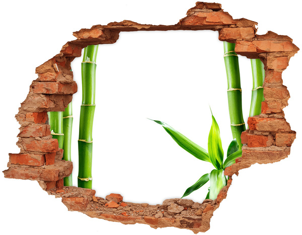 Hole wall sticker Green plant through a hole in the wall