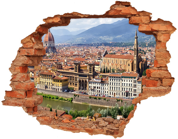 Hole wall sticker View of Florence