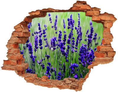 Hole wall sticker Lavender flower meadow