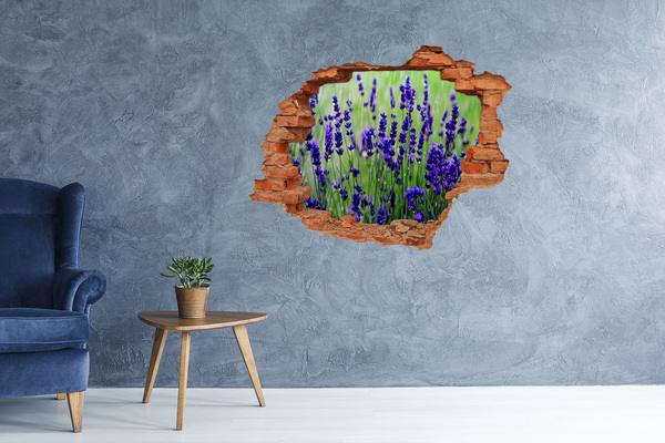 Hole wall sticker Lavender flower meadow