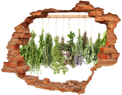 3D wall hole wallpaper Herbs on a string