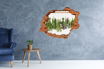 3D wall hole wallpaper Herb garden in the wall