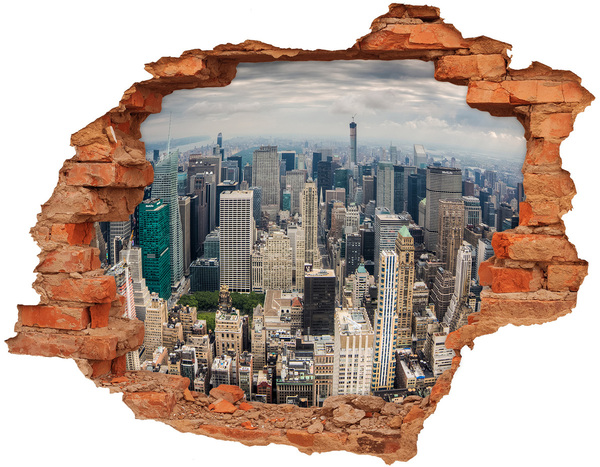 Hole wall sticker View of New York