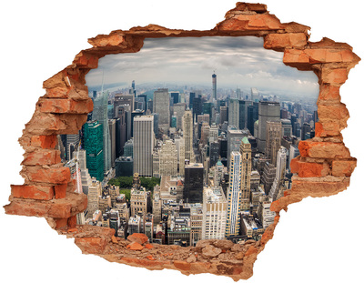 Hole wall sticker View of New York