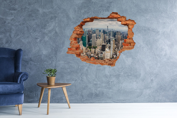 Hole wall sticker View of New York