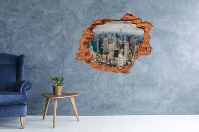 Hole wall sticker View of New York