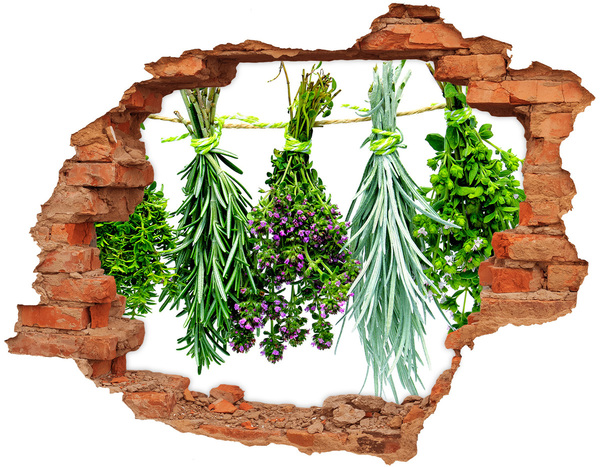 Hole in the wall decal Hole in the Wall Herb Garden