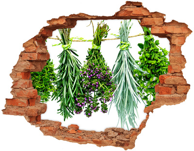 Hole in the wall decal Herbs on a string