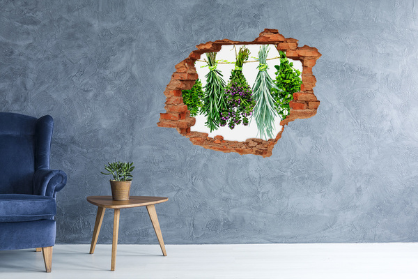 Hole in the wall decal Herbs on a string