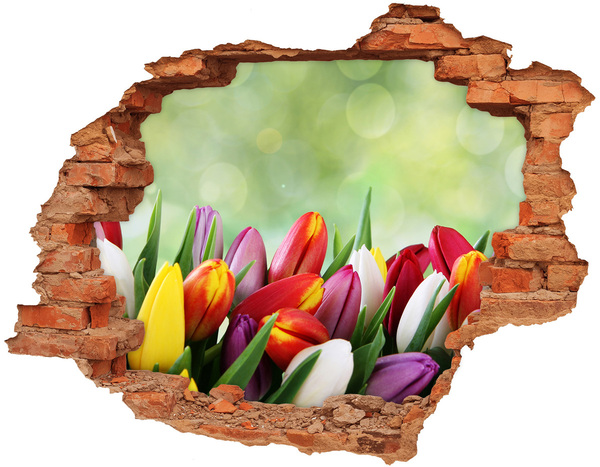 Hole in the wall decal Colorful tulips