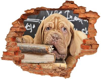 Hole in the wall sticker A sweet puppy among books